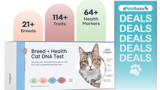 Basepaws Cat DNA Test Kit