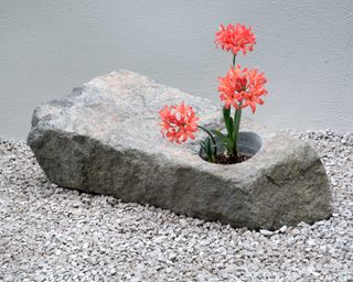 modern stone planter with bright flower in 'A Tranquil Space in the City' by Mika Misawa at Chelsea flower show 2021