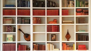 A wall of bookcase to suggest a bookshelf idea for small rooms