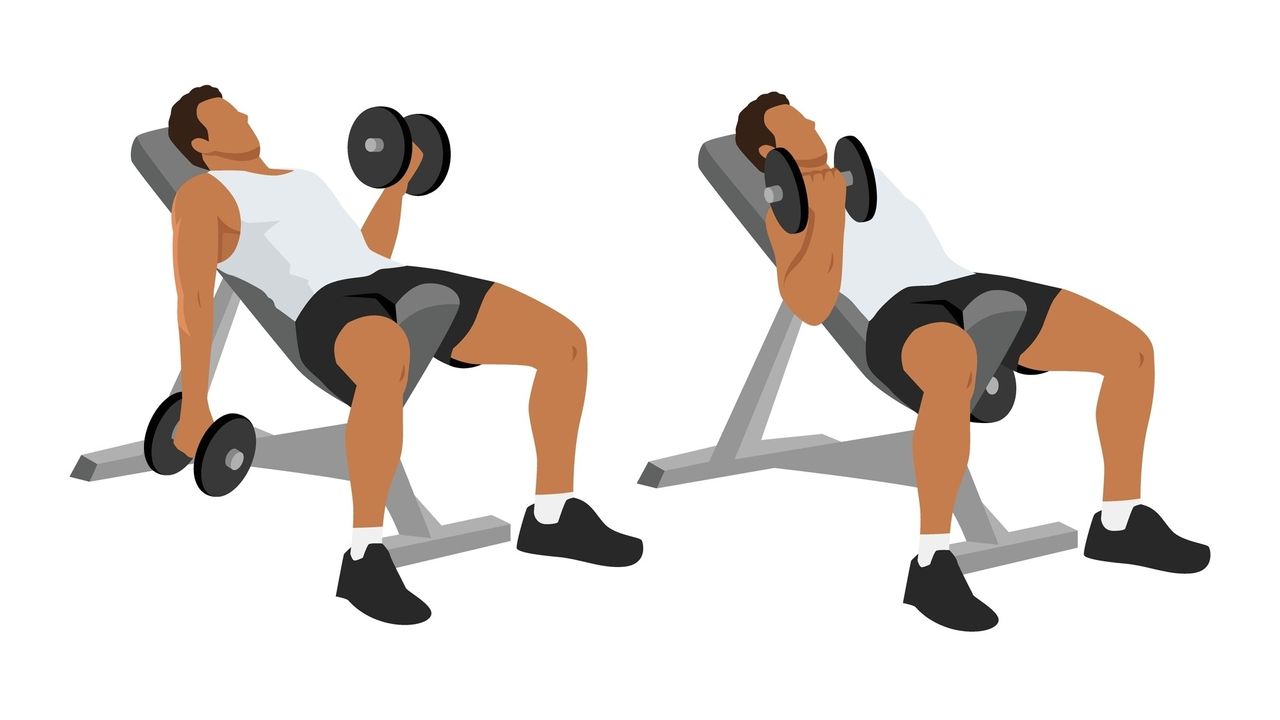 Vector of man performing a seated incline dumbbell curl