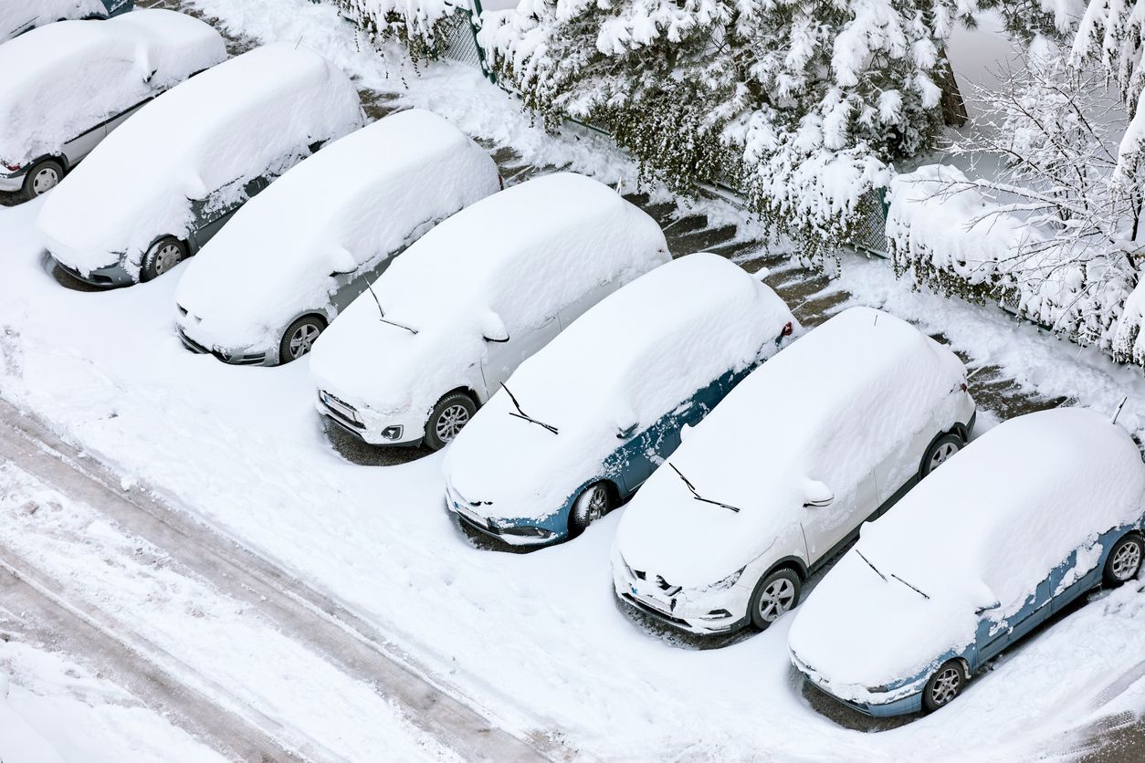 Cars covered in snow.