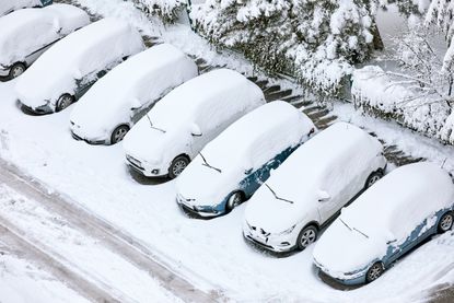 Cars covered in snow.