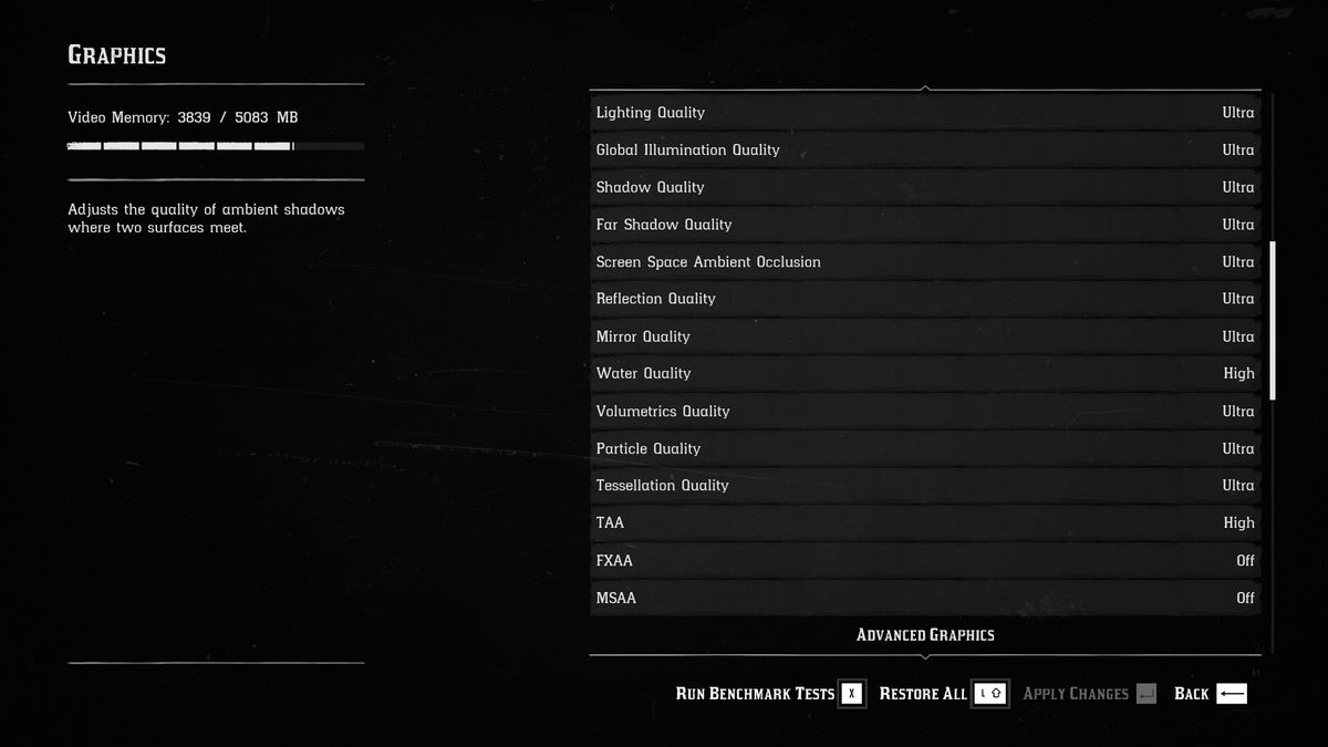 Red Dead Redemption 2 settings