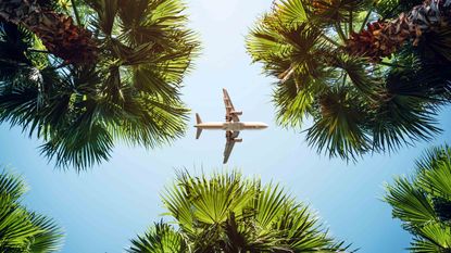 Airplane flying above tropical trees