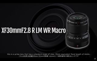 A Fujifilm XF30mm macro lens