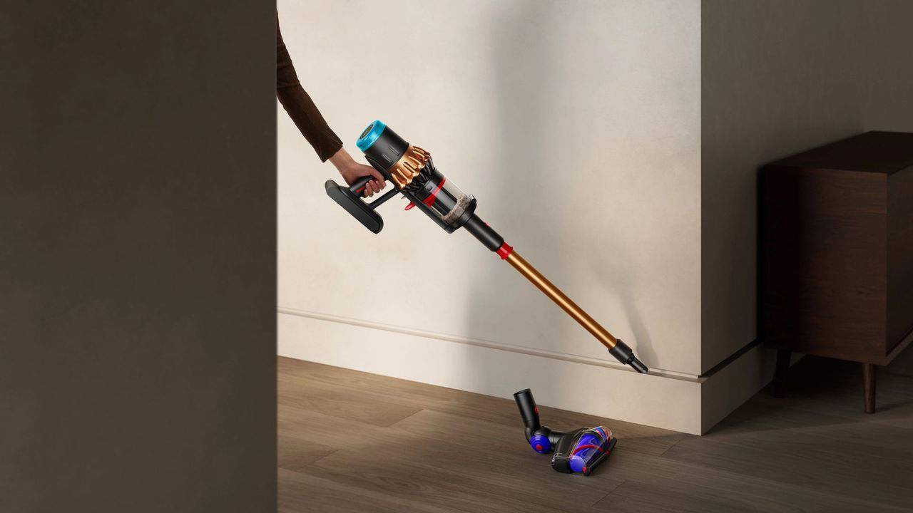Dyson DS60 Piston Animal Vacuum