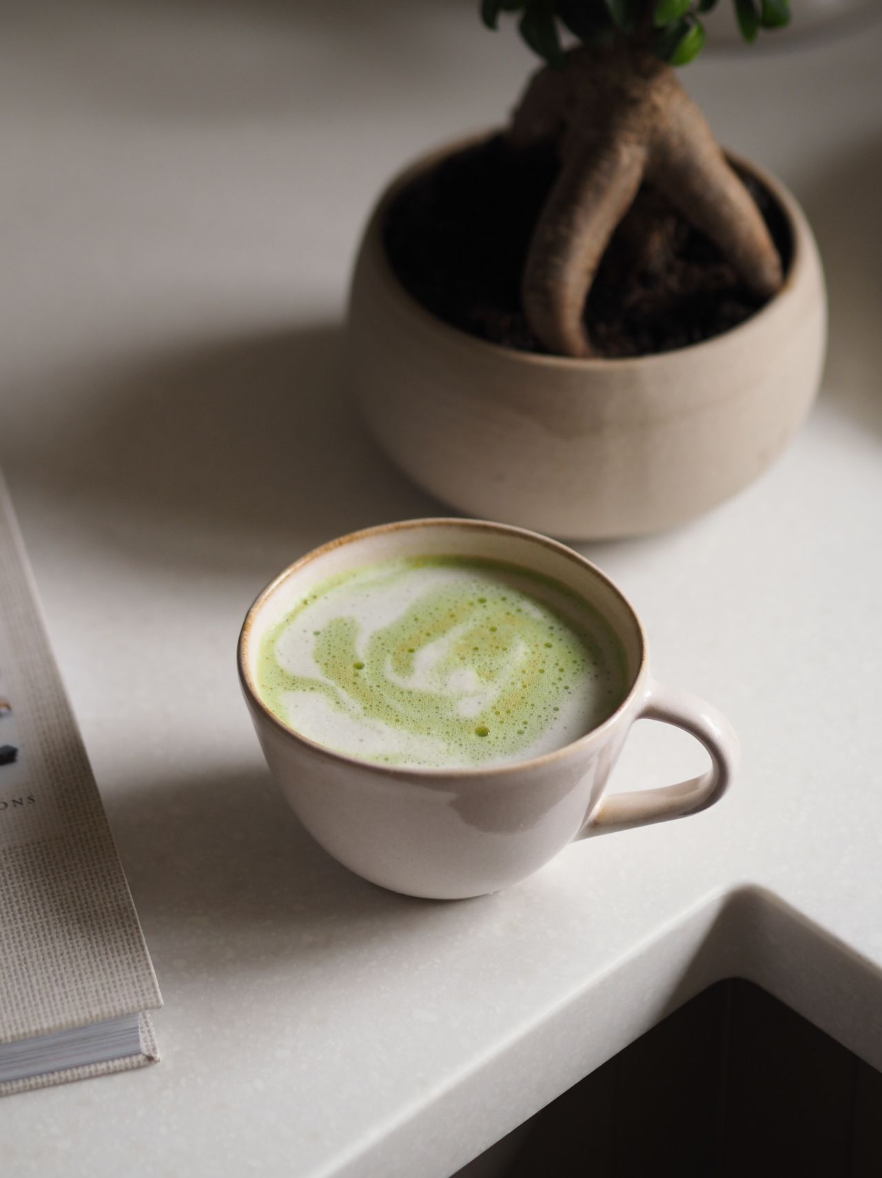 A frothy matcha tea, blended with milk, sits in a beige ceramic cup atop a white counter, next to a potted bonsai plant.