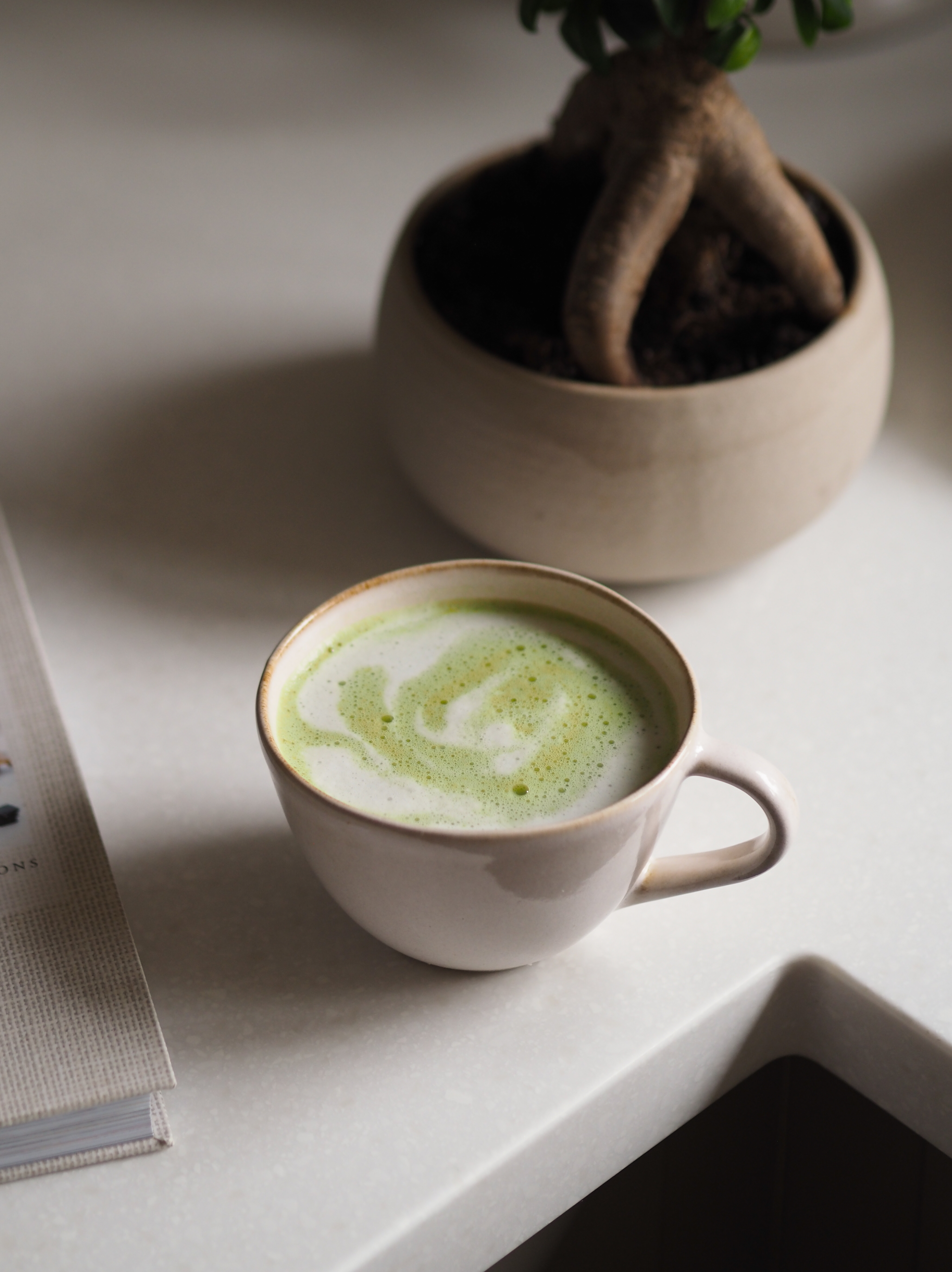 A frothy matcha tea, blended with milk, sits in a beige ceramic cup atop a white counter, next to a potted bonsai plant.