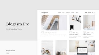 Blogasm Pro
