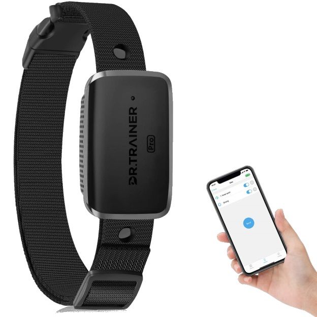 Best pet trackers and smart collars 2022 Android Central