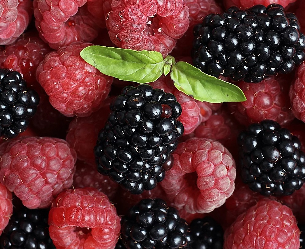 Cottage Farms 2-Piece Everbearing Berry Duo Live Plants