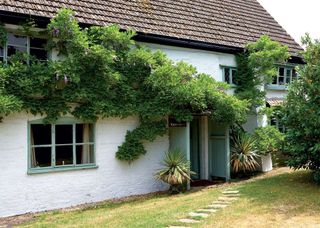 Exterior of a white cottage covered with vines