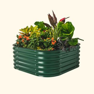 Vego Garden 17 inch tall 4 in 1 raised bed in British Green