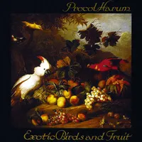 Exotic Birds And Fruit (Chrysalis, 1974)