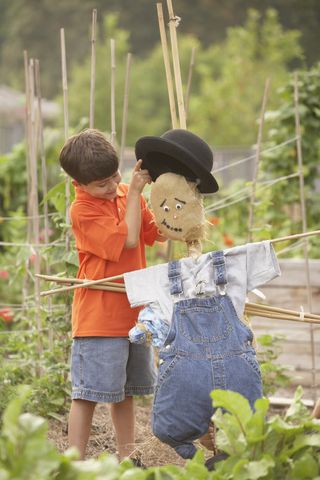 How to make a scarecrow: young child in veg patch with scarecrow