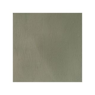 A limewash paint in mossy green