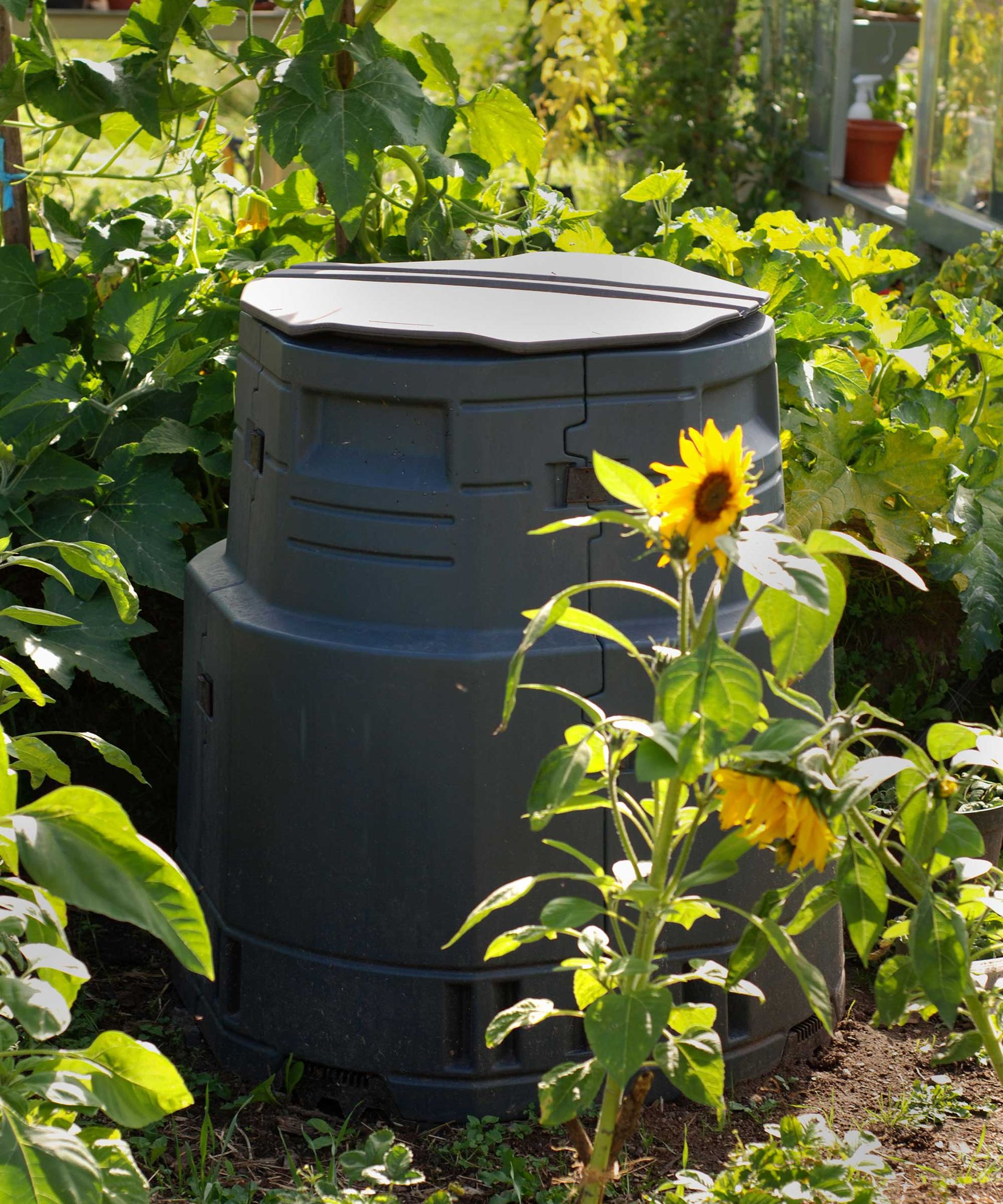 Composting a stepbystep guide on how to compost at home Gardeningetc