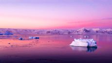 Simultaneous heatwaves have hit both polar regions and caused temperatures to rise by at least 50 degrees Fahrenheit in certain areas.