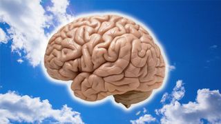 A picture of a brain set against a blue sky.