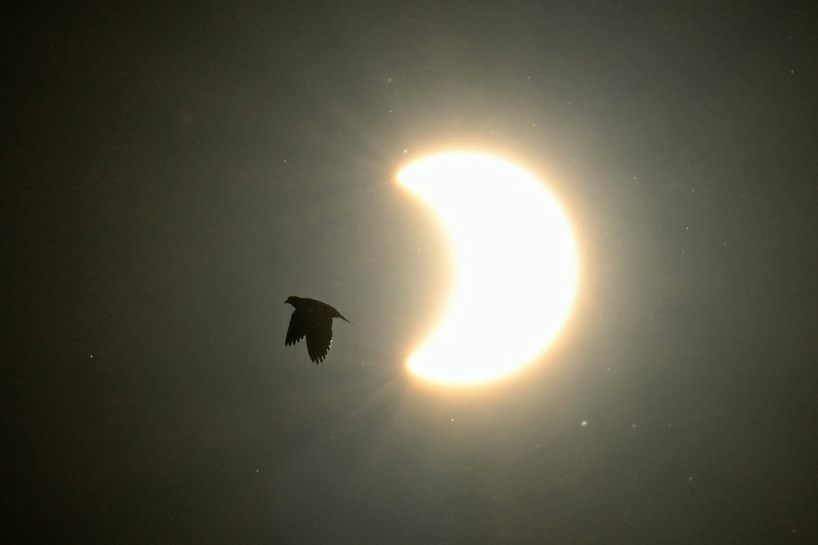 Partial view of the solar annular eclipse in Buenos Aires, taken on October 2, 2024.