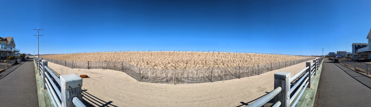 Google Pixel 8a panorama sample.