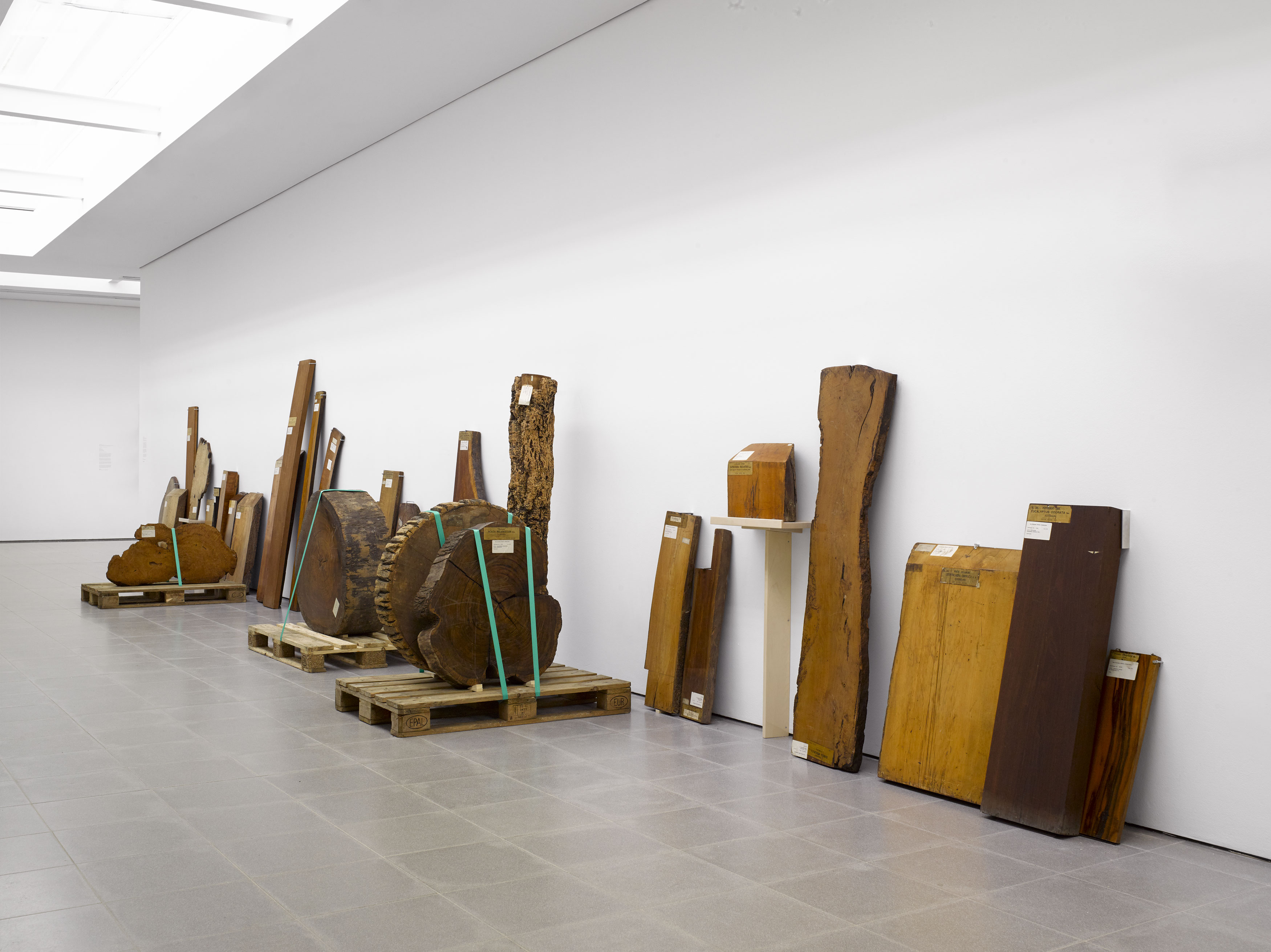Cambio by Formafantasma at Serpentine Gallery, featuring wood displays