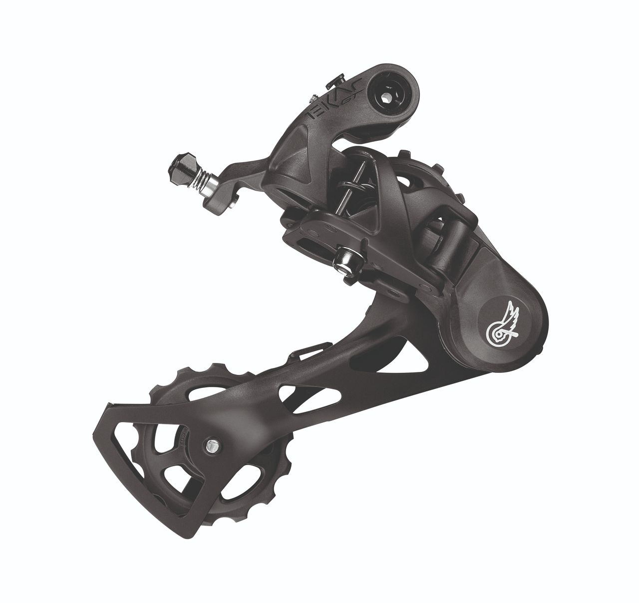 Campagnolo Ekar GT