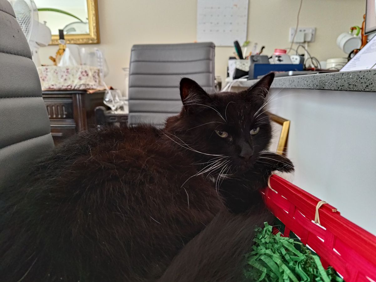Photo taken on the Asus Zenfone 9
