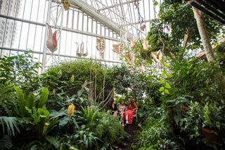 sculptures hanging over green plants in a conservatory