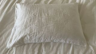 Woolroom Natural Latex Washable Wool Pillow in its pillowcase