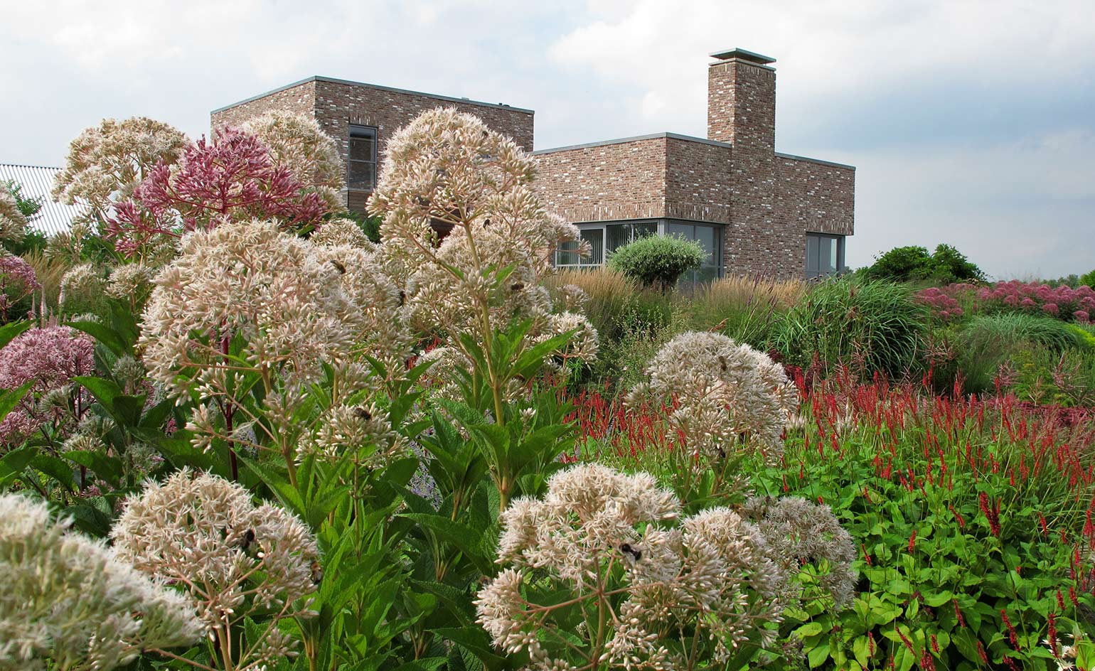 A private garden by Piet Oudolf in the Netherlands