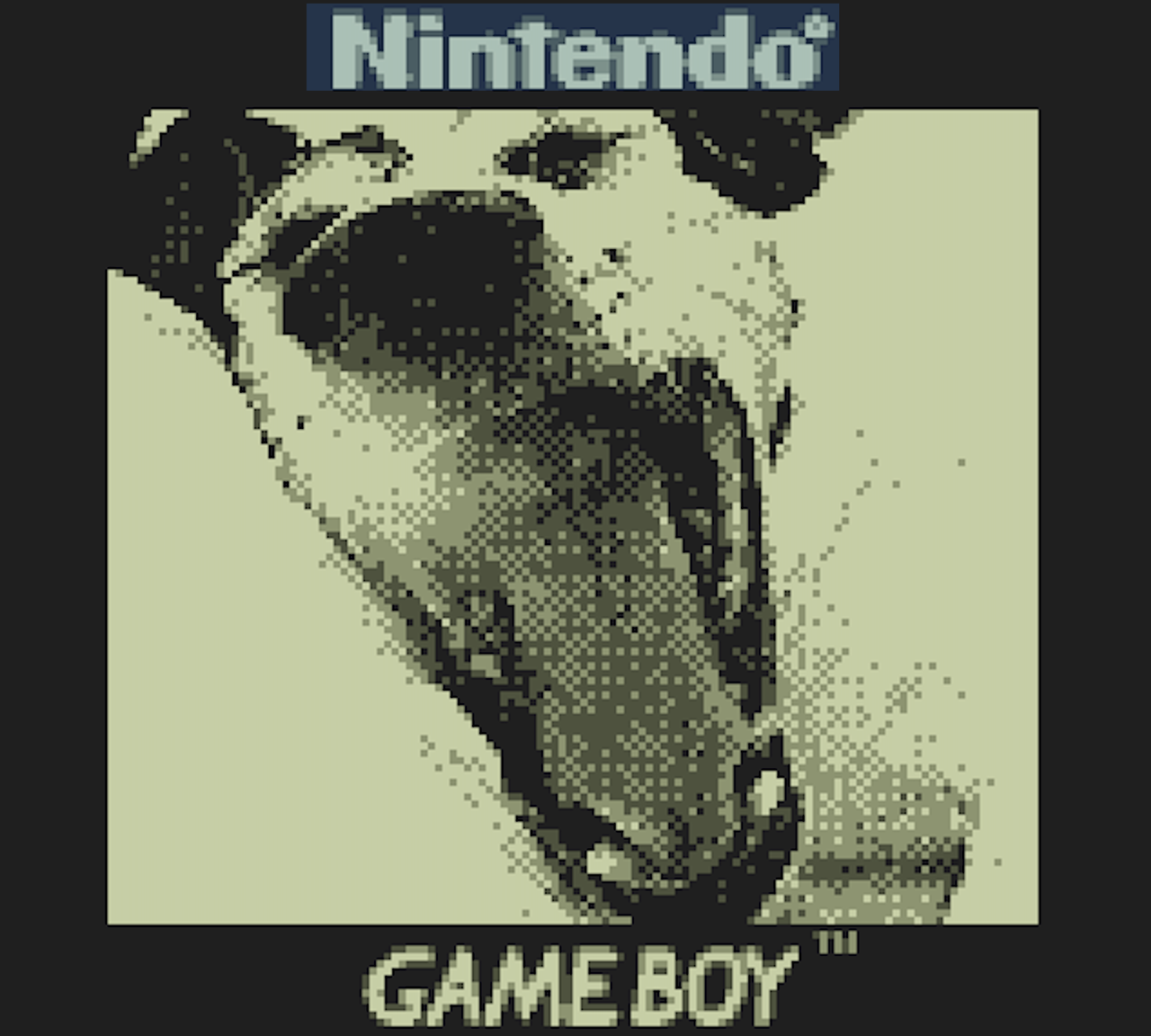 This Game Boy Camera can shoot photos of the moon
