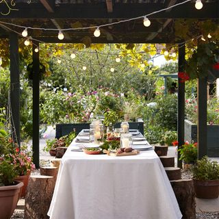 outdoor with table and lighting