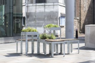 City benches winners revealed