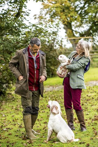 clumber spaniel