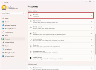 Windows 11 Accounts settings