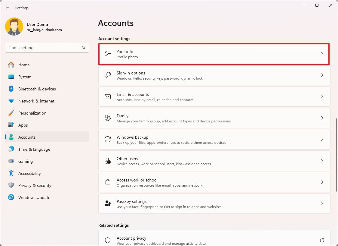 Windows 11 Accounts settings