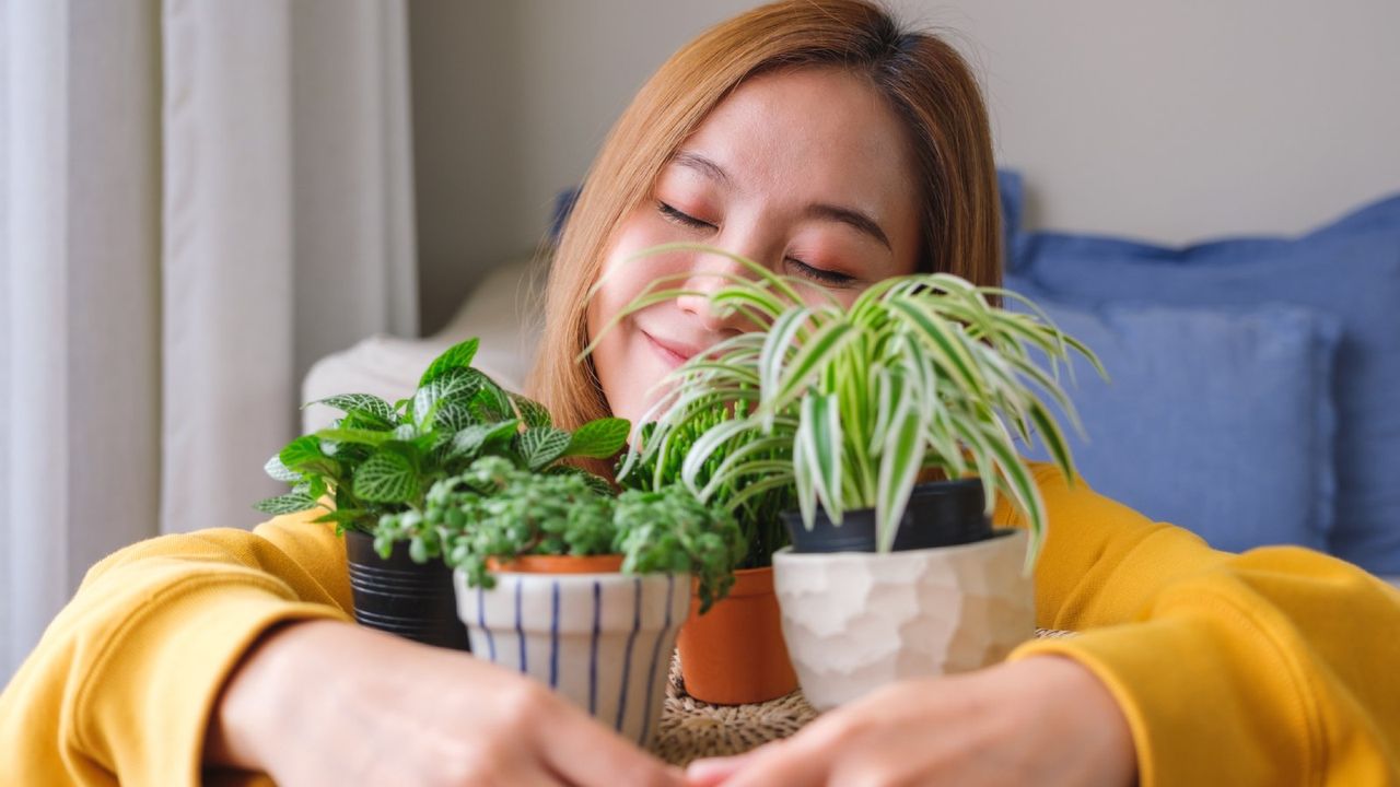 A smiling woman hugs her houseplants