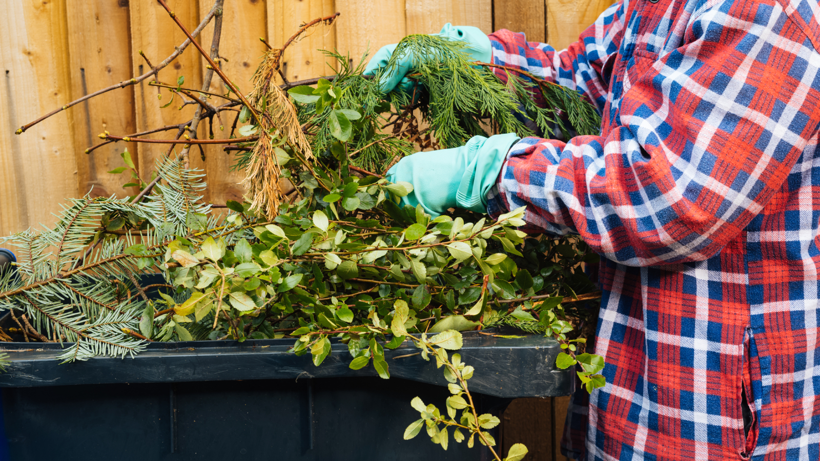 Person in plaid shirt putting offset branches into waste bin