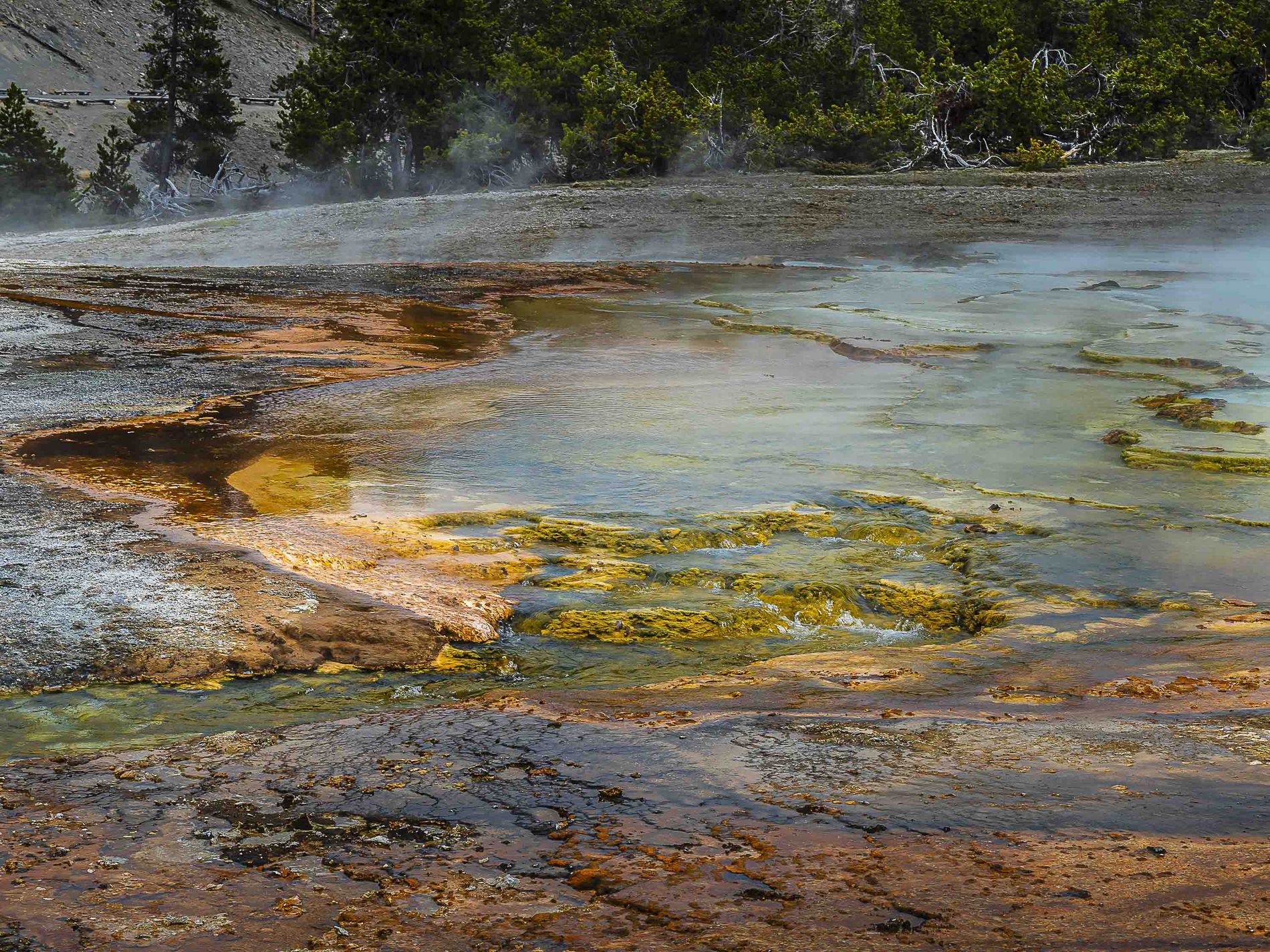 GuruShots - Nature&rsquo;s Masterpiece 2026