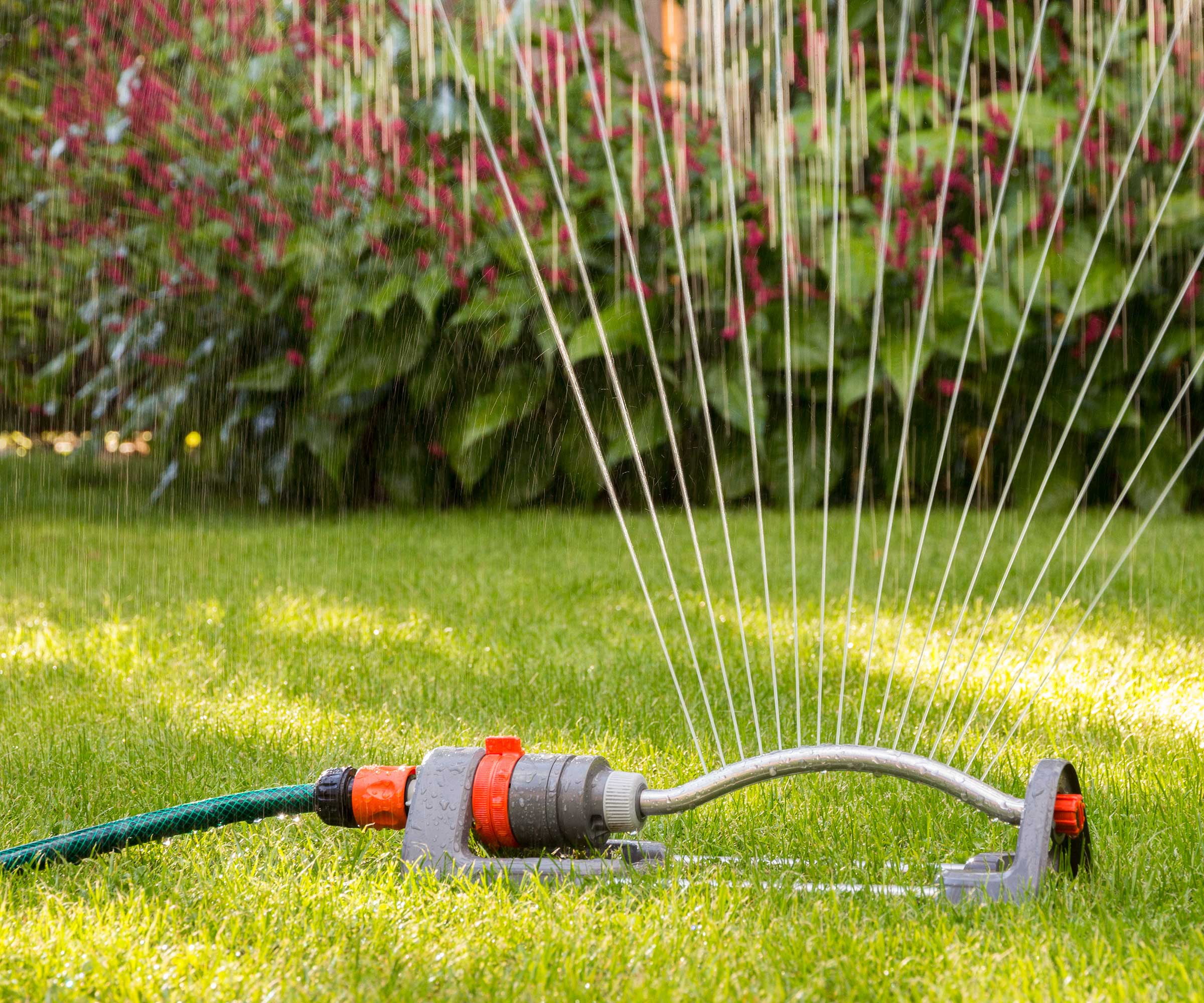 sprinkler on lawn