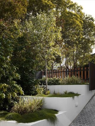 A backyard with landscaped trees