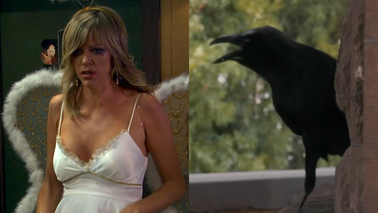 Side by side: Dee as sexy angel in It&#039;s Always Sunny in Philadelphia, raven cawing in High Potential Season 2