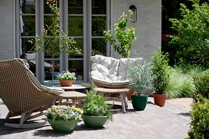a patio with potted plants