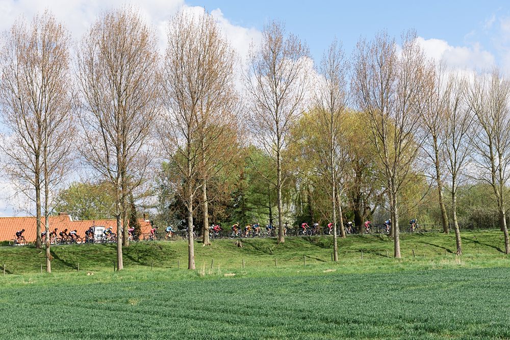 Omloop van Borsele 2016