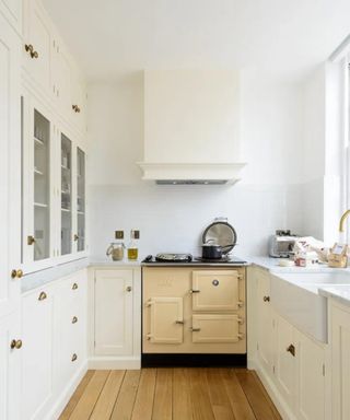 Small kitchen with the ceiling painted the same color as the walls to make the space feel larger