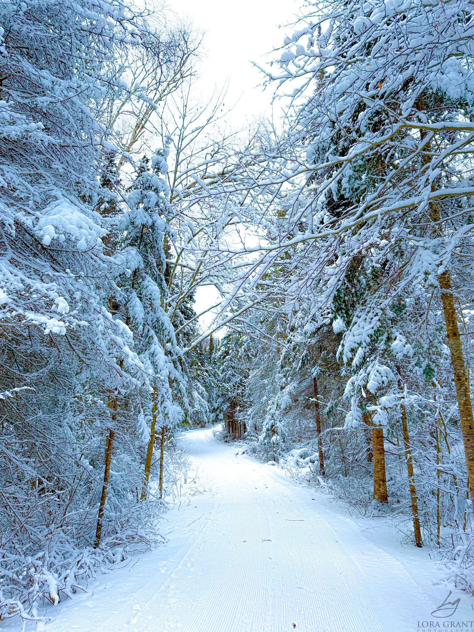 GuruShots - March 2026