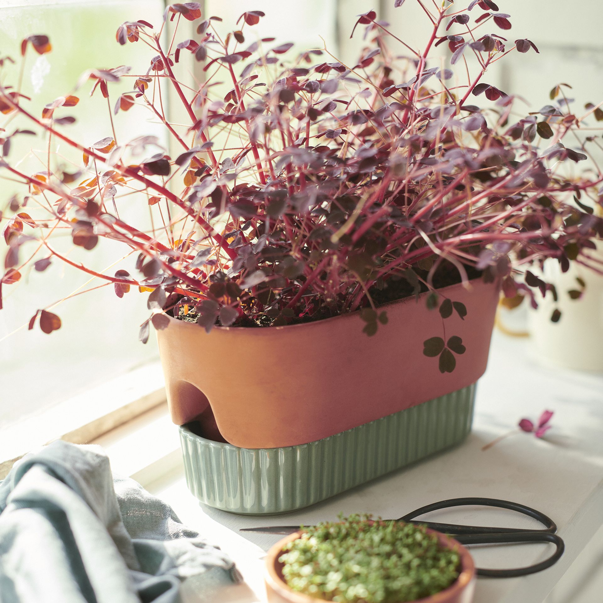 IKEA planter in teracotta