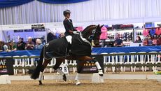 Charlotte dujardin Times Kismet