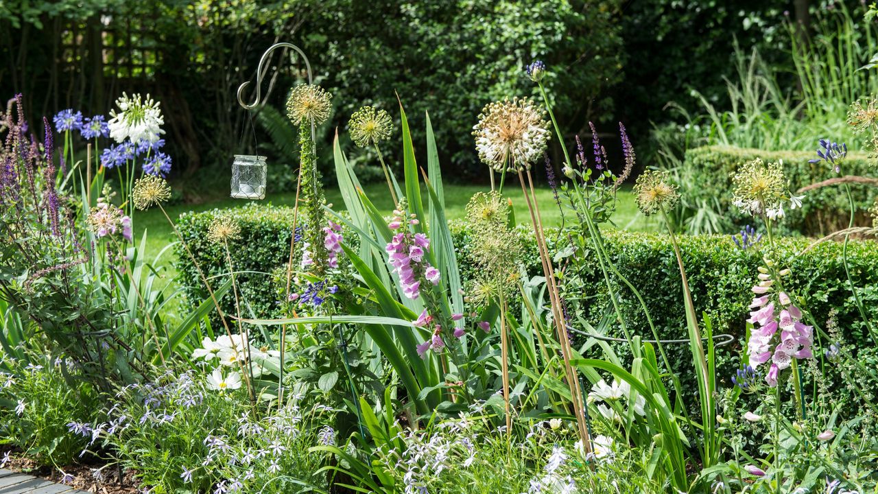 Plants including pink foxgloves in raised garden border